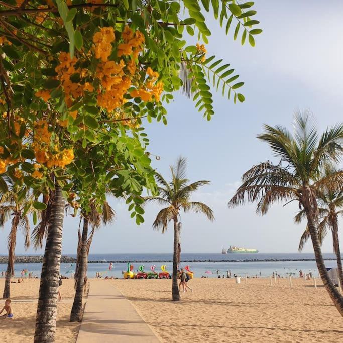 San Andres Beach View Apartment Buitenkant foto